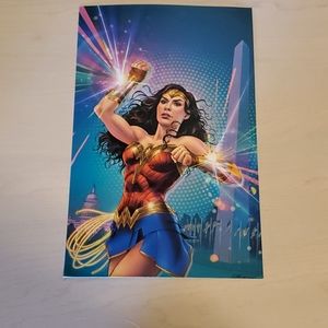 DC Universe Wonder Woman Poster